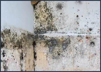 Boynton Beach Water Damage Boynton Beach, FL 561-320-4044 Boynton Beach Water Damage Boynton Beach, FL 561-320-4044 - city-page-mold