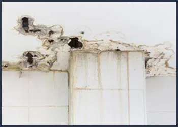 Boynton Beach Water Damage Boynton Beach, FL 561-320-4044 - cont-img-water-damage-2
