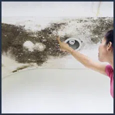 Boynton Beach Water Damage Boynton Beach, FL 561-320-4044 - sidebar-img-mold
